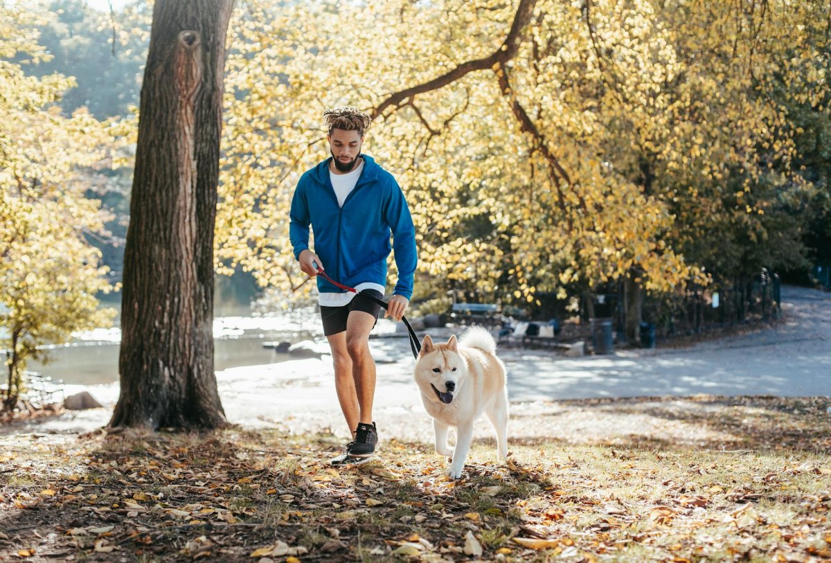 Ideale Lage im Harz für Spaziergänge mit dem Hund
