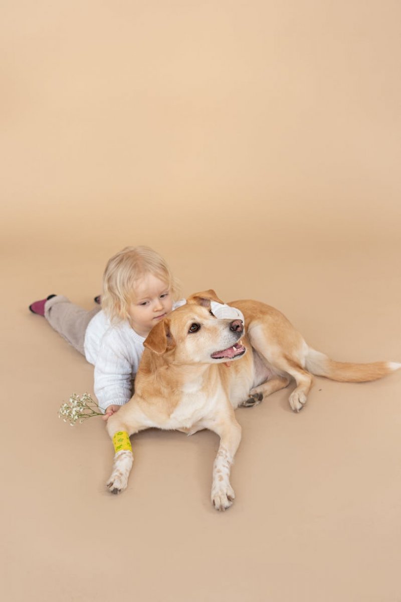 Komfortabler Aufenthalt für Mensch und Hund